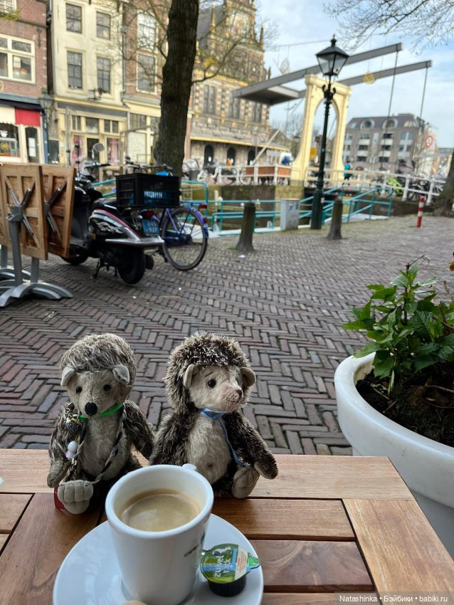 Fashion Dolls 499 — Туризм и путешествия: фотоотчеты из поездок