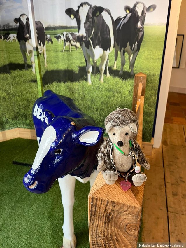 Fashion Dolls 499 — Туризм и путешествия: фотоотчеты из поездок