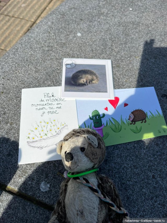 Fashion Dolls 500 — Туризм и путешествия: фотоотчеты из поездок