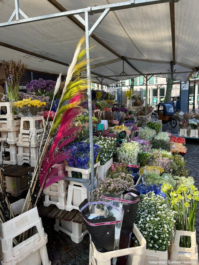 Fashion Dolls 500 — Туризм и путешествия: фотоотчеты из поездок (фото 3)