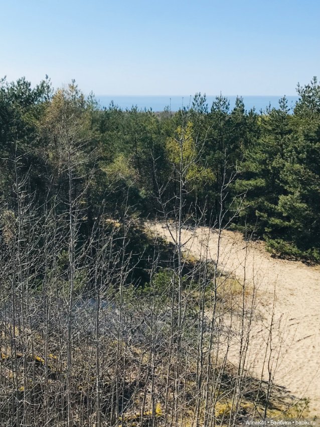 Нечаянная прогулка по кушской косе... кукла зарисовка