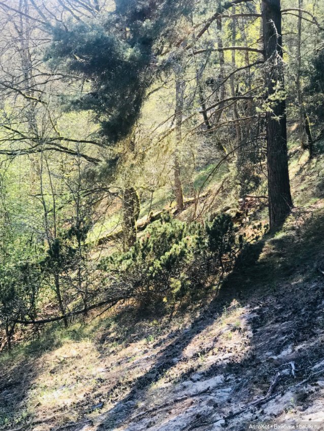 Нечаянная прогулка по кушской косе... кукла зарисовка