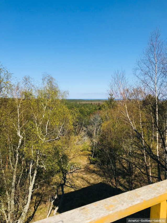 Нечаянная прогулка по кушской косе... кукла зарисовка