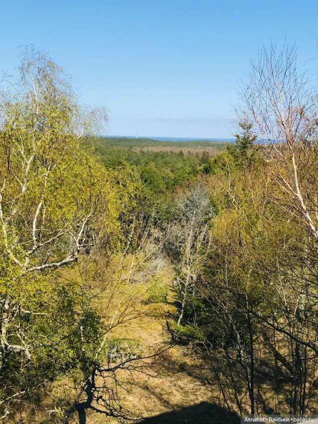 Нечаянная прогулка по кушской косе... кукла зарисовка