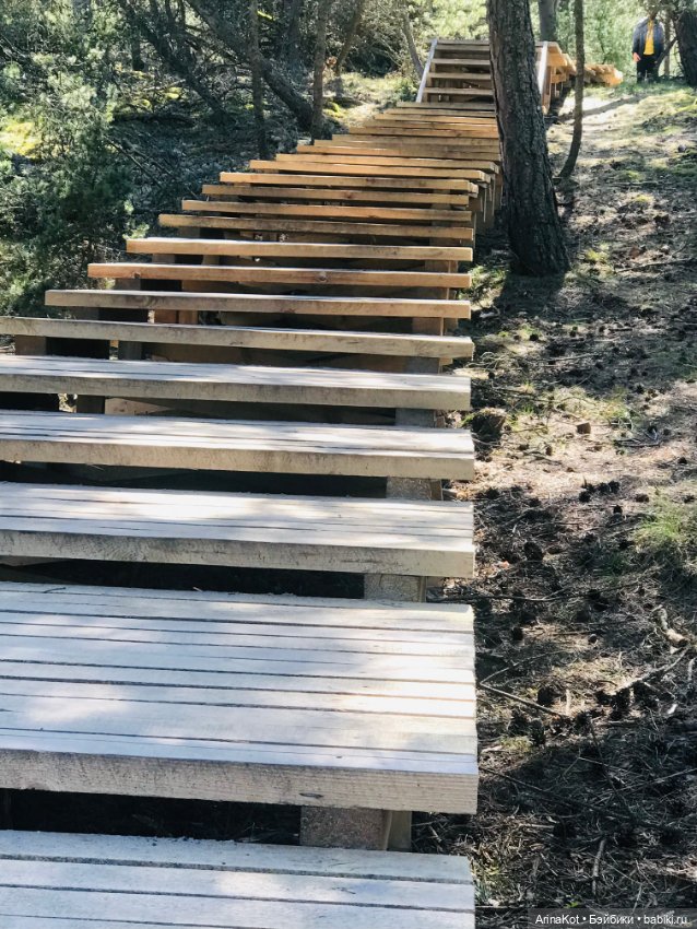 Нечаянная прогулка по кушской косе... кукла зарисовка