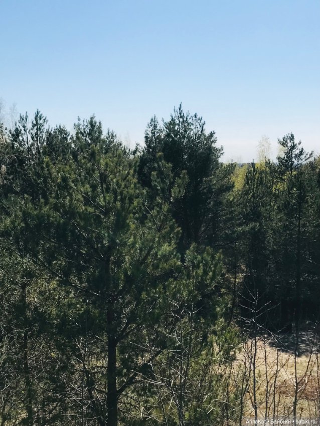 Нечаянная прогулка по кушской косе... кукла зарисовка