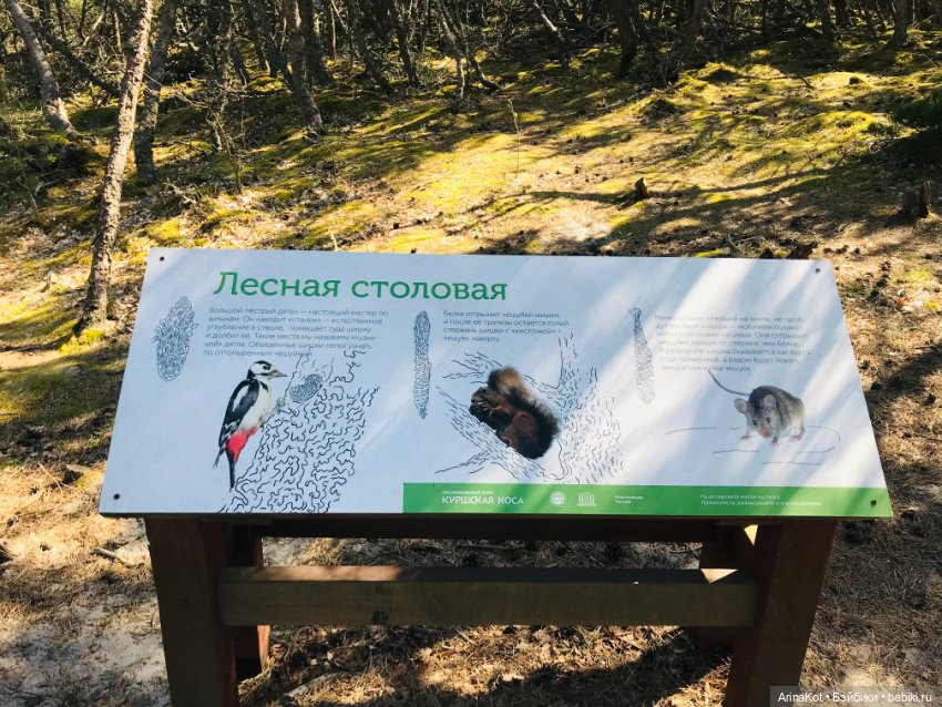 Нечаянная прогулка по кушской косе... кукла зарисовка (фото 9)