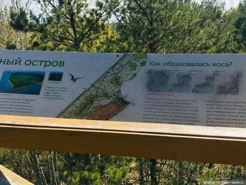 Нечаянная прогулка по кушской косе... кукла зарисовка