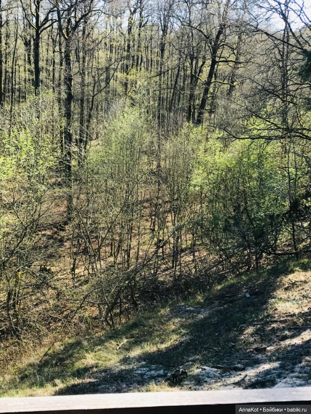 Нечаянная прогулка по кушской косе... кукла зарисовка