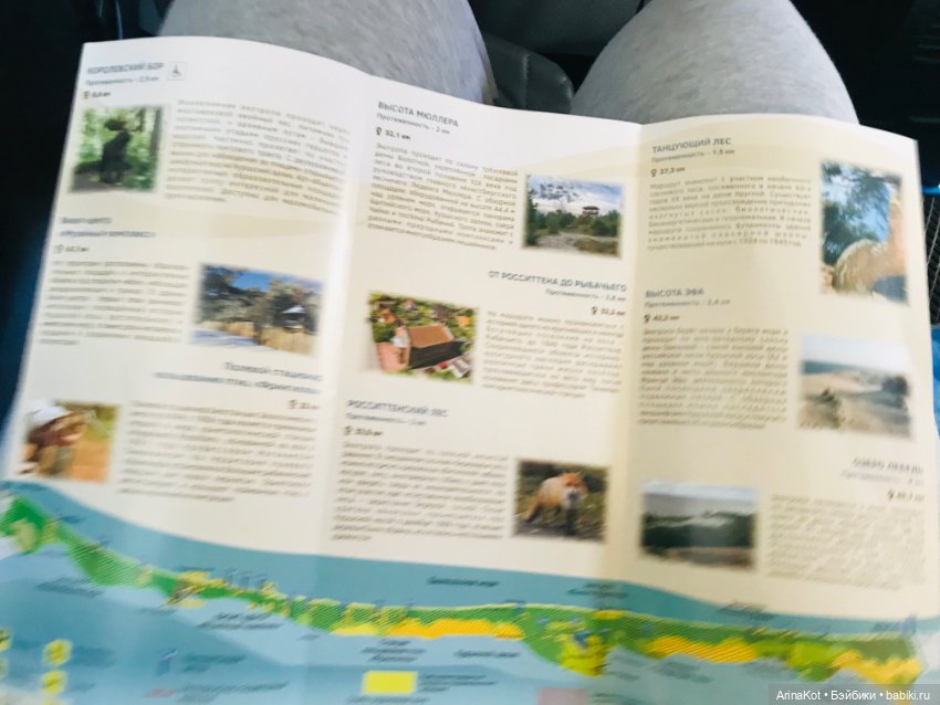 Нечаянная прогулка по кушской косе... кукла зарисовка (фото 4)