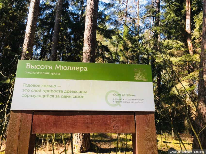 Нечаянная прогулка по кушской косе... кукла зарисовка