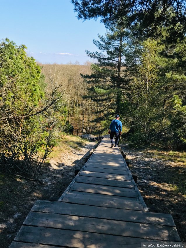 Нечаянная прогулка по кушской косе... кукла зарисовка