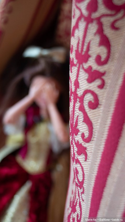 Куда ты спряталась, Герцогиня (фото 10)