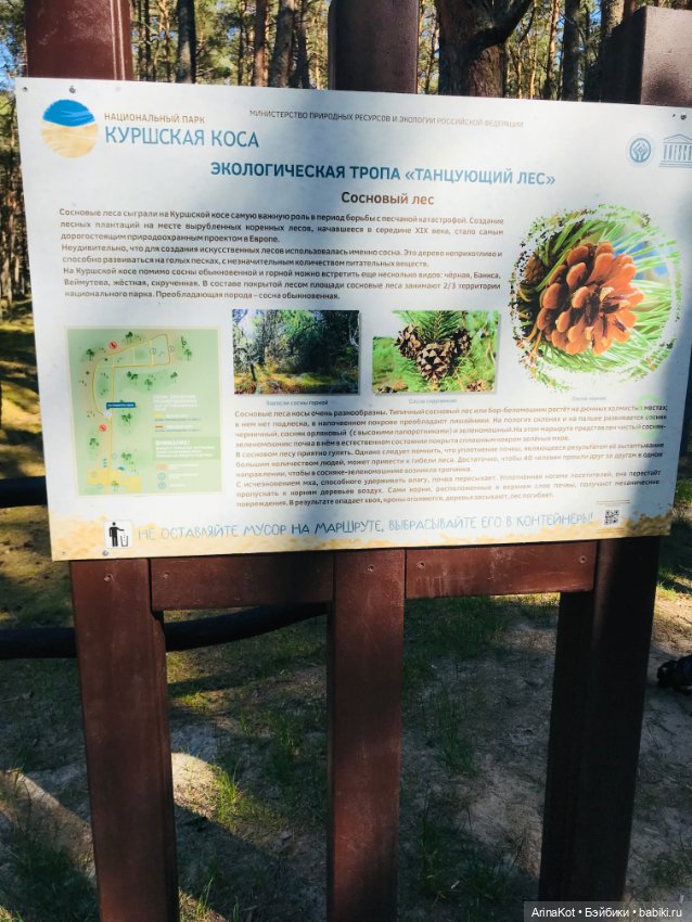 Нечаянная прогулка по кушской косе... кукла зарисовка