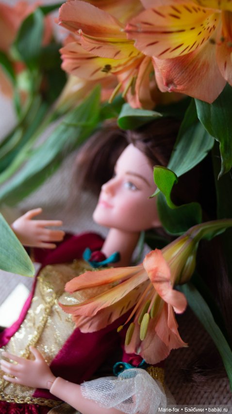 Куда ты спряталась, Герцогиня