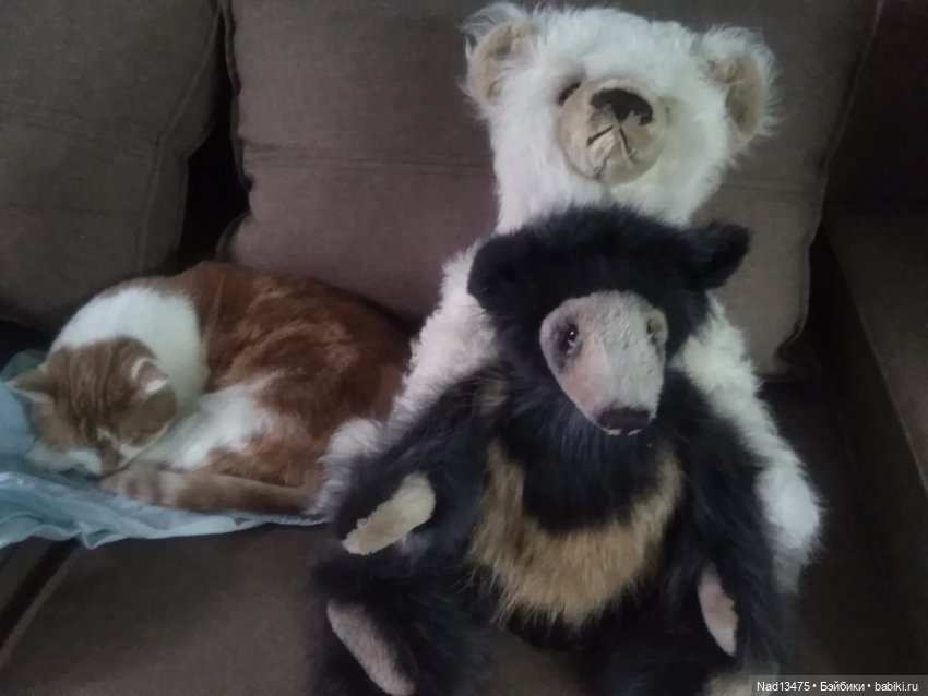 Мои медведи Моё хобби — Авторские мишки Тедди и друзья: фото