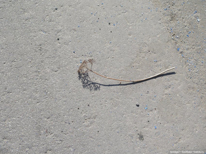 Ruby Red Siblies и весна — Куклы Ruby Red (Руби Ред) Fashion Friends: Siblies (фото 2)