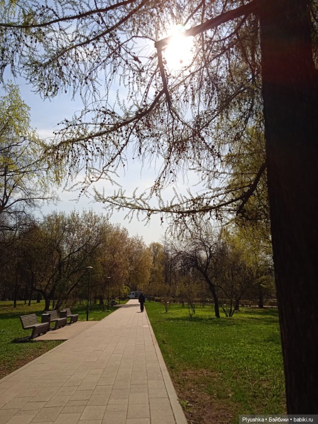 Джейки. Прогулка. Сад будущего (фото 4)