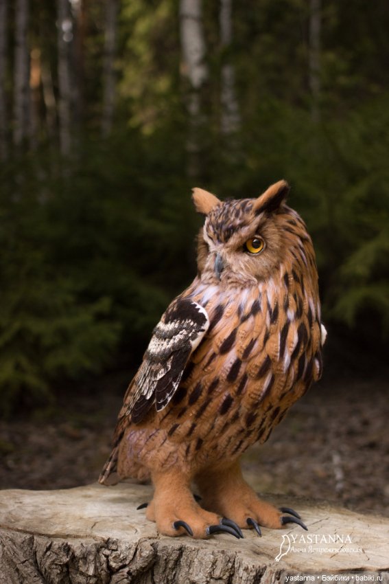 Филин — Валяные игрушки из шерсти: сухое валяние (фото 9)