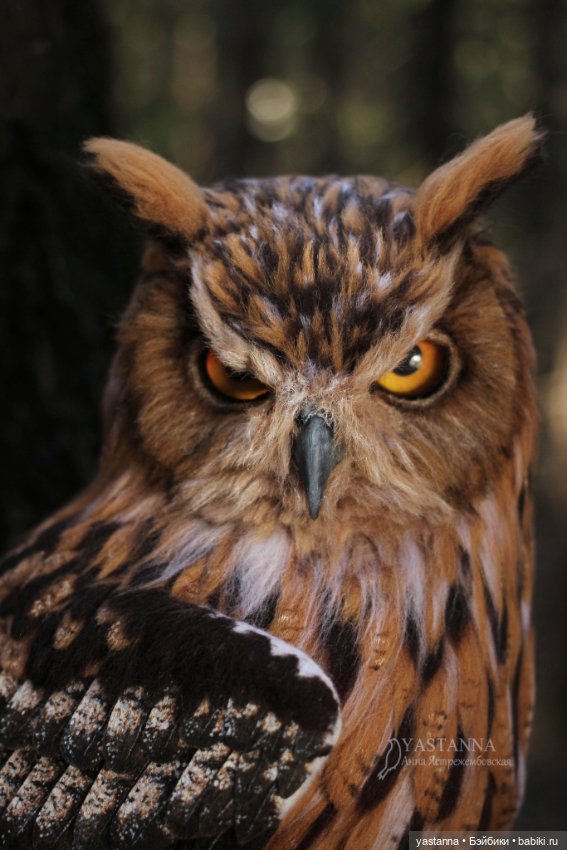 Филин — Валяные игрушки из шерсти: сухое валяние