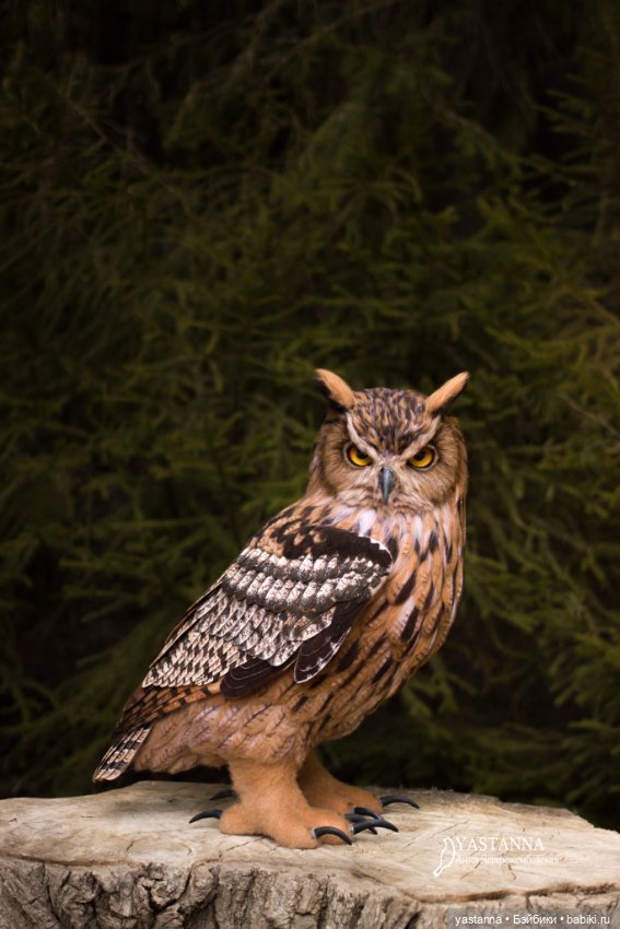 Филин — Валяные игрушки из шерсти: сухое валяние (фото 5)