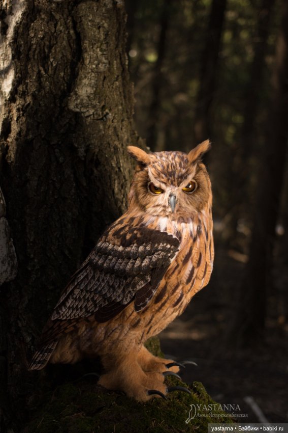 Филин — Валяные игрушки из шерсти: сухое валяние