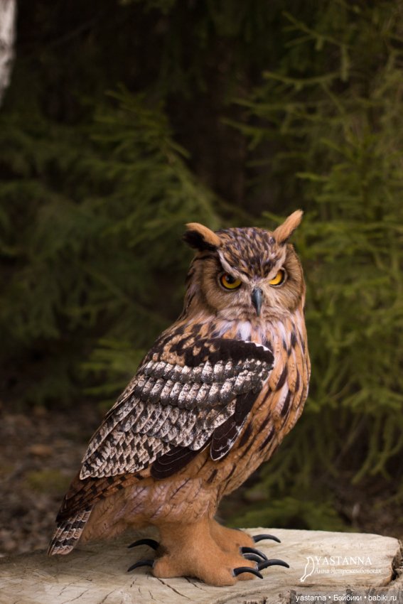 Филин — Валяные игрушки из шерсти: сухое валяние (фото 7)