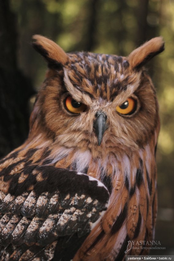 Филин — Валяные игрушки из шерсти: сухое валяние