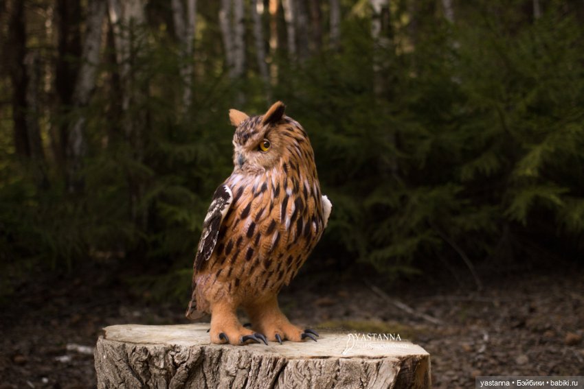 Филин — Валяные игрушки из шерсти: сухое валяние (фото 4)