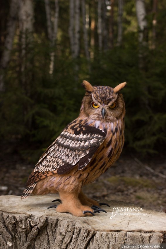 Филин — Валяные игрушки из шерсти: сухое валяние (фото 10)