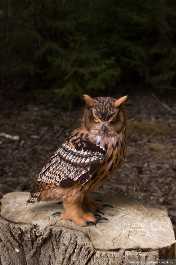 Филин — Валяные игрушки из шерсти: сухое валяние