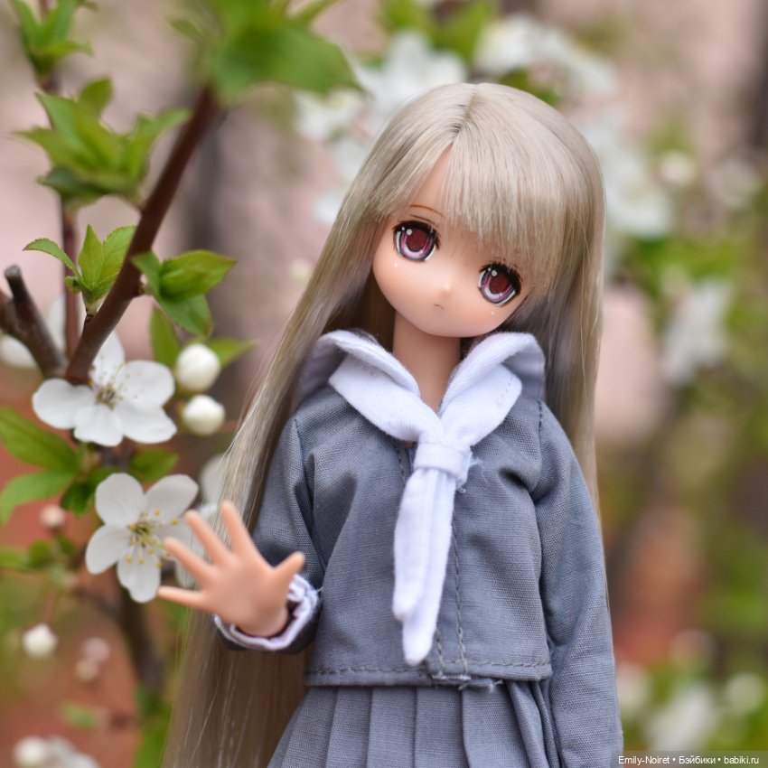 Белое цветение — Коллекции шарнирных (фото 8)