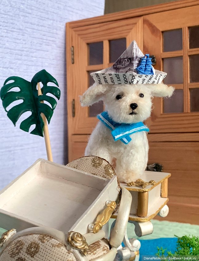 Капитан, капитан, улыбнитесь