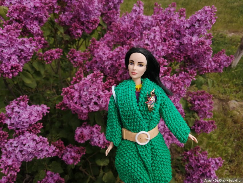 Расцвела в Волгограде сирень (фото 3)