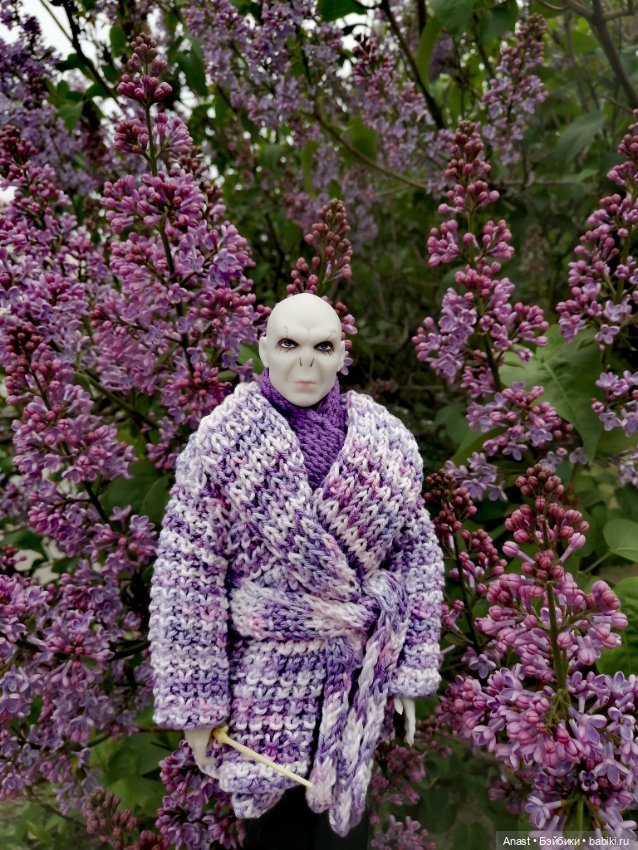 Расцвела в Волгограде сирень