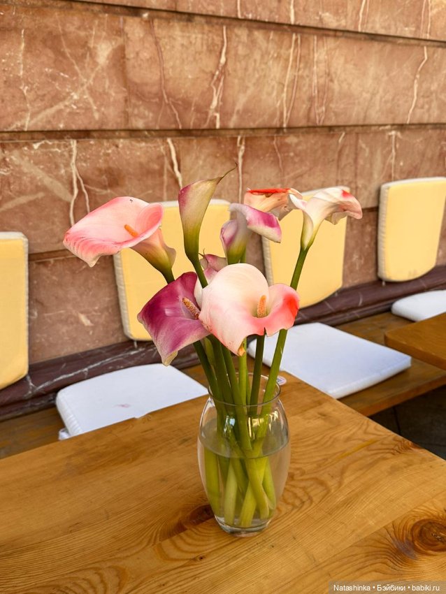 Fashion Dolls 502 — Туризм и путешествия: фотоотчеты из поездок