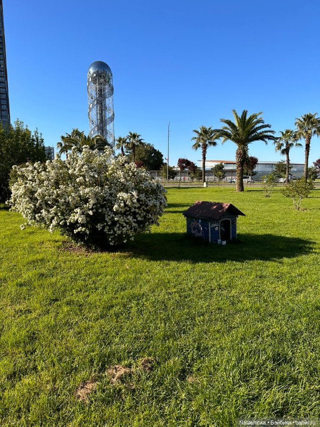 Fashion Dolls 502 — Туризм и путешествия: фотоотчеты из поездок