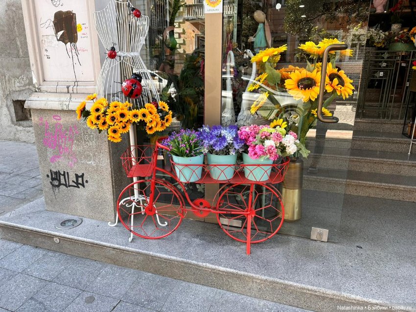 Fashion Dolls 502 — Туризм и путешествия: фотоотчеты из поездок