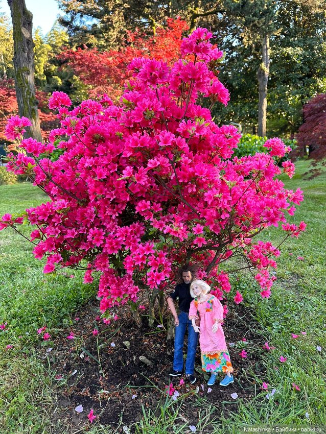 Fashion Dolls 502 — Туризм и путешествия: фотоотчеты из поездок