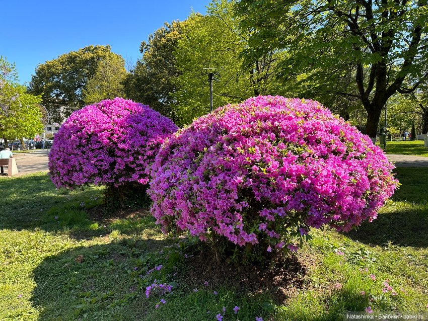 Fashion Dolls 502 — Туризм и путешествия: фотоотчеты из поездок