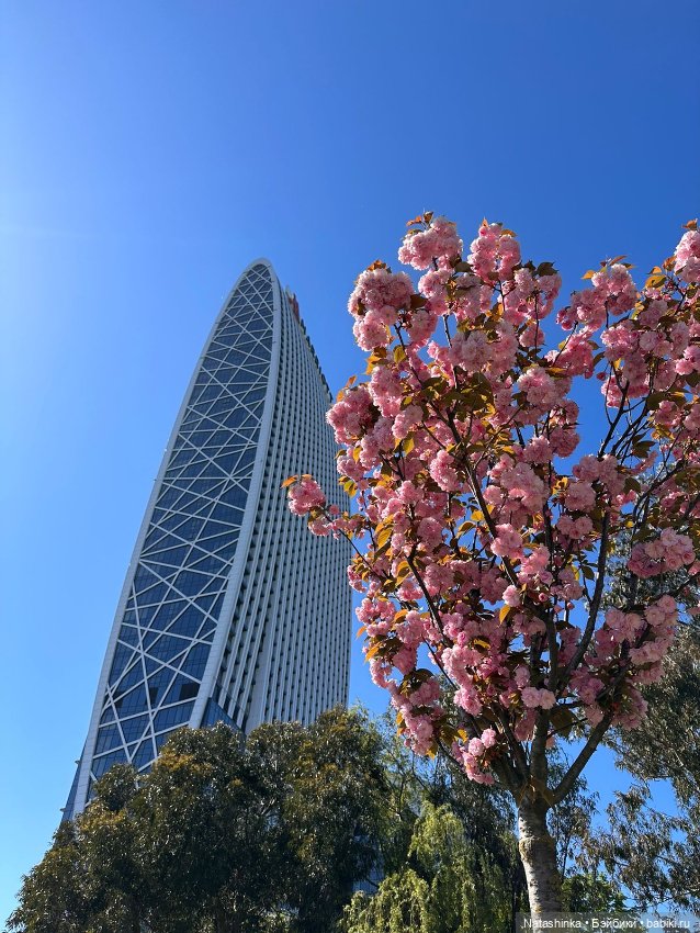 Fashion Dolls 502 — Туризм и путешествия: фотоотчеты из поездок