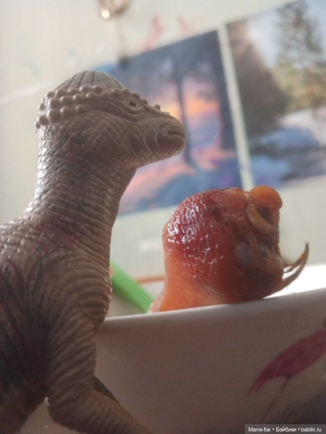 О динозавриках — Интересные игрушки и фигурки (разное): редкие (фото 5)