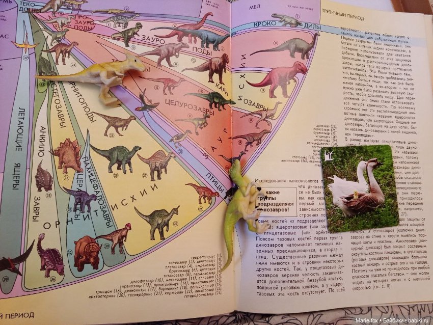 О динозавриках — Интересные игрушки и фигурки (разное): редкие (фото 4)