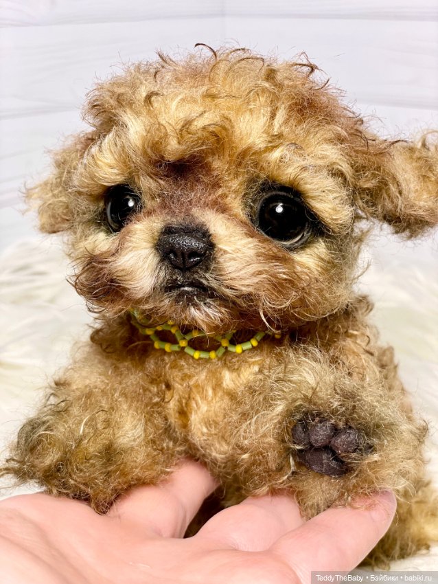 Мальтипу🐶 — Реалистичные игрушки и звери (Натюр): собаки