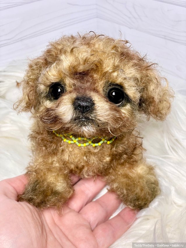 Мальтипу🐶 — Реалистичные игрушки и звери (Натюр): собаки