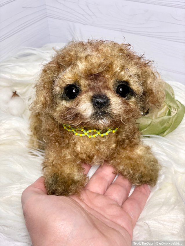 Мальтипу🐶 — Реалистичные игрушки и звери (Натюр): собаки