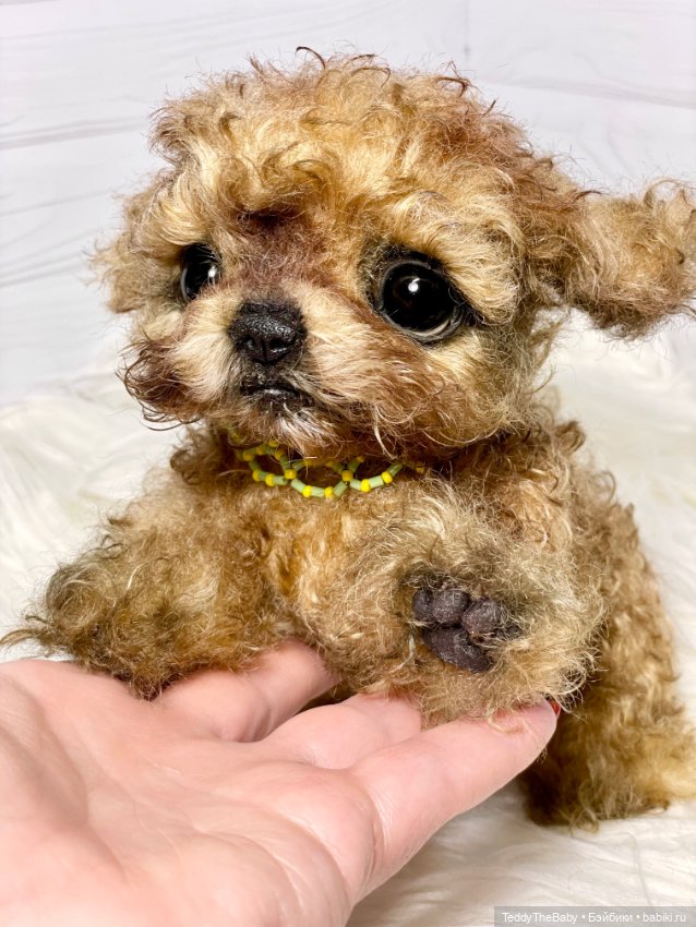 Мальтипу🐶 — Реалистичные игрушки и звери (Натюр): собаки