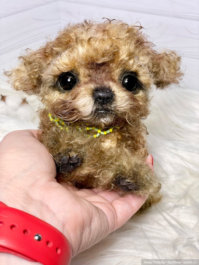 Мальтипу🐶 — Реалистичные игрушки и звери (Натюр): собаки