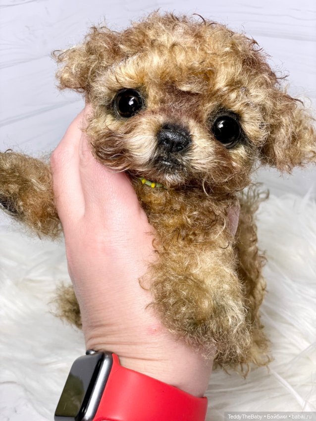 Мальтипу🐶 — Реалистичные игрушки и звери (Натюр): собаки (фото 9)