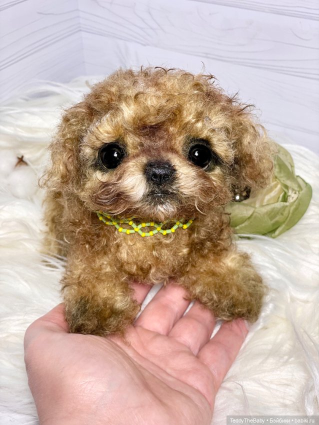 Мальтипу🐶 — Реалистичные игрушки и звери (Натюр): собаки